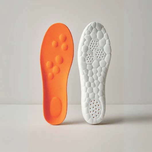 FitFeet Insoles